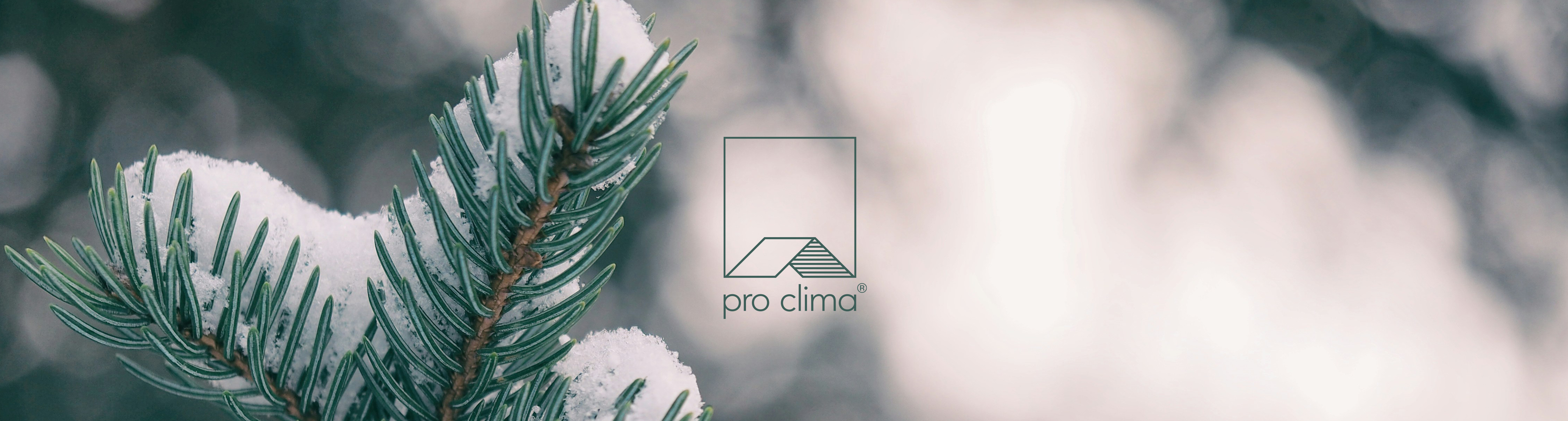 GEMEINSAM – Jahresabschluss 2025